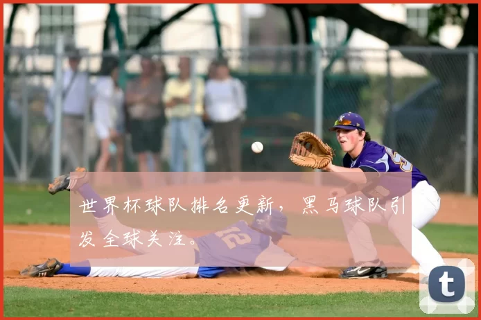 世界杯球队排名更新，黑马球队引发全球关注。