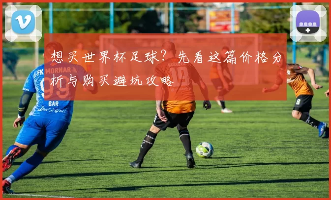 想买世界杯足球?先看这篇价格分析与购买避坑攻略