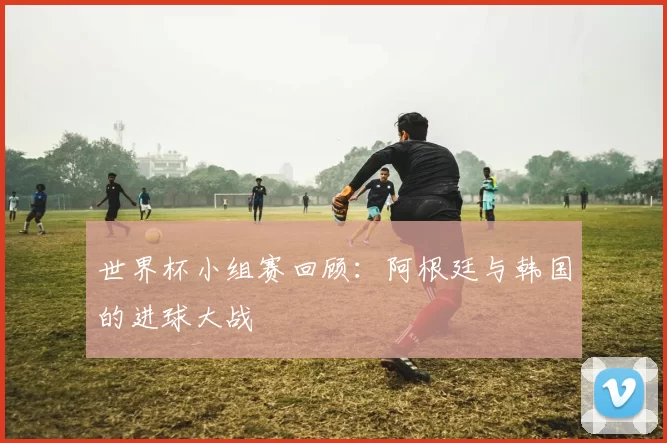 世界杯小组赛回顾：阿根廷与韩国的进球大战
