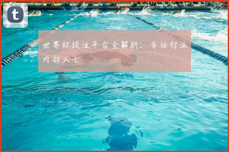 世界杯投注平台全解析：专访行业内部人士