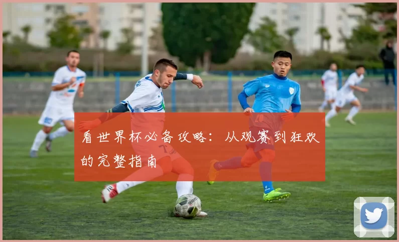 看世界杯必备攻略：从观赛到狂欢的完整指南