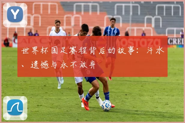 世界杯国足赛程背后的故事：汗水、遗憾与永不放弃