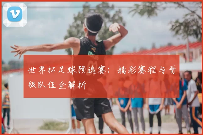 世界杯足球预选赛：精彩赛程与晋级队伍全解析